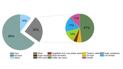 王玉濤課題組GEC研究揭示 蓬勃發展的非食品生物基經濟正驅動大量全球土地利用排放
